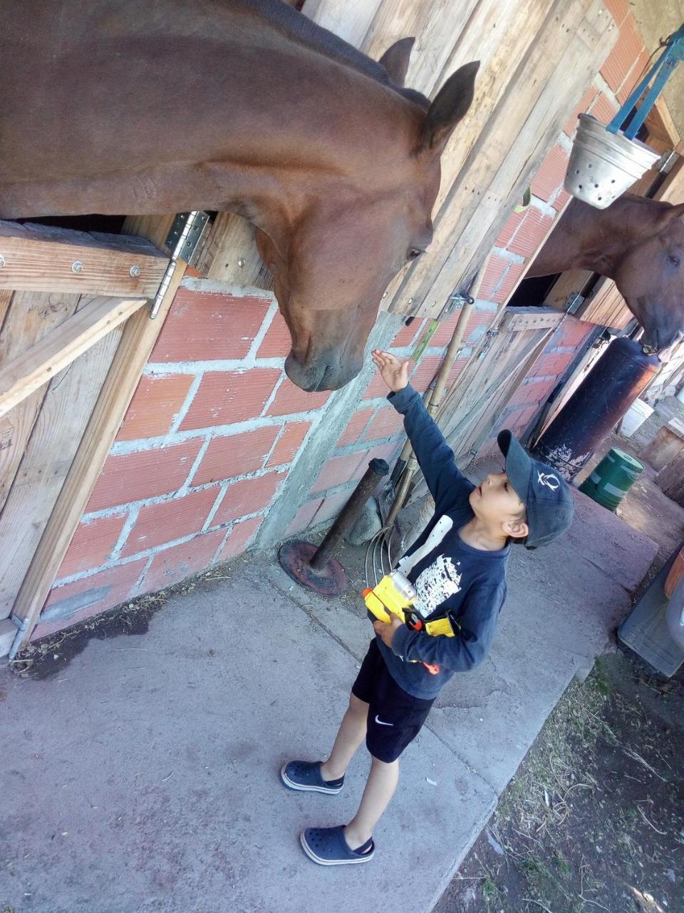 Posada Pesca Aike Patagonico Los Antiguos Luaran gambar